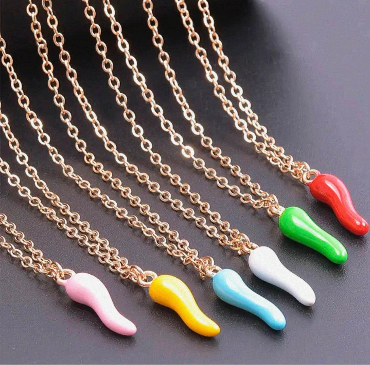 Cornicello Italian Necklace in Stainless Steel.