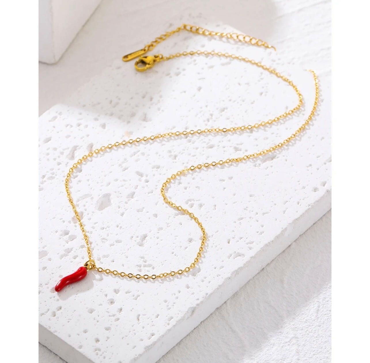 Cornicello Italian Necklace in Stainless Steel.