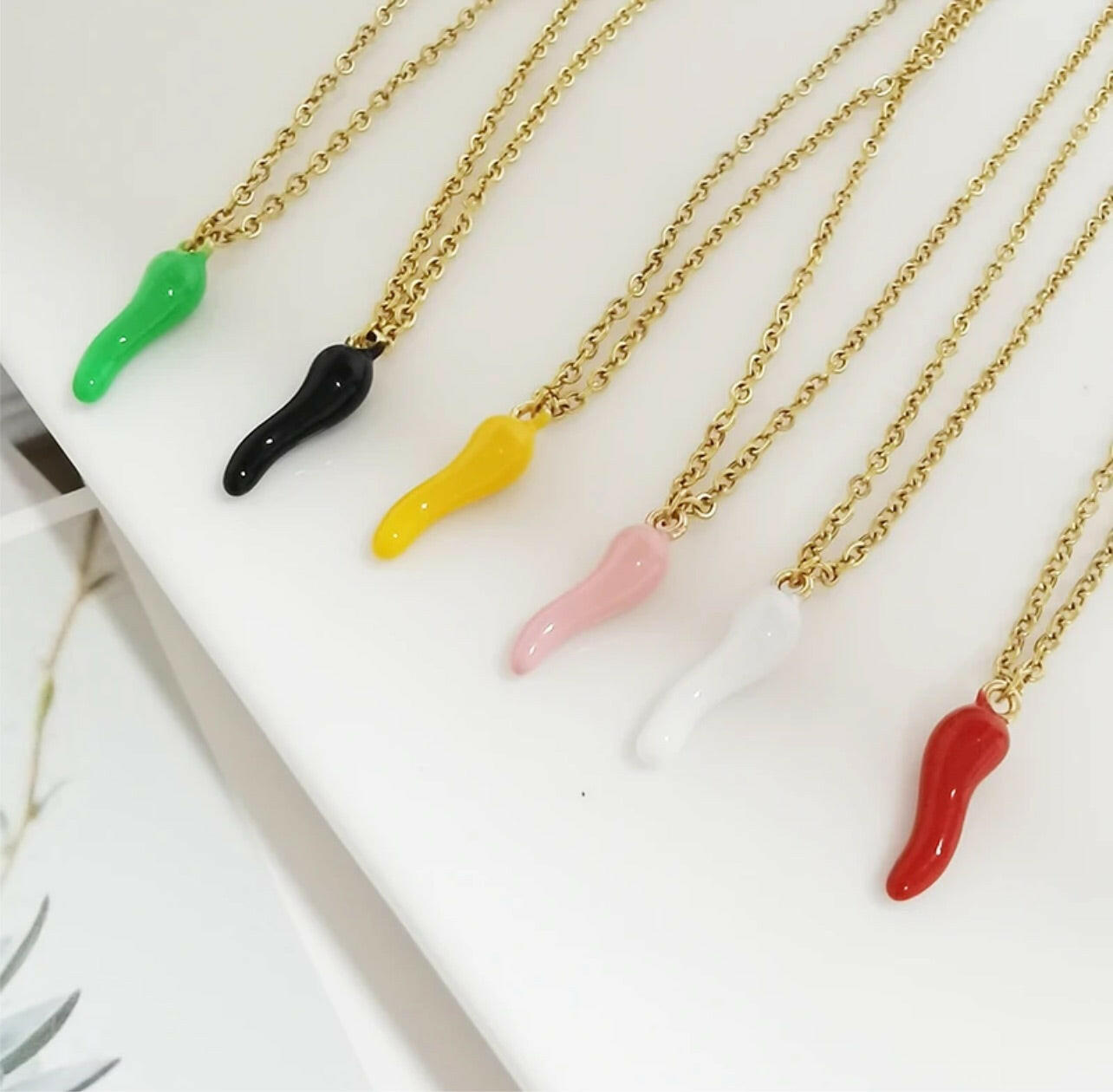Cornicello Italian Necklace in Stainless Steel.