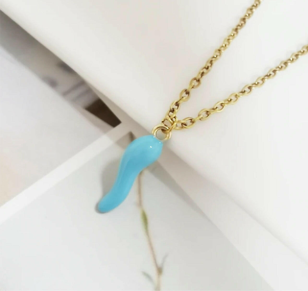 Cornicello Italian Necklace in Stainless Steel.