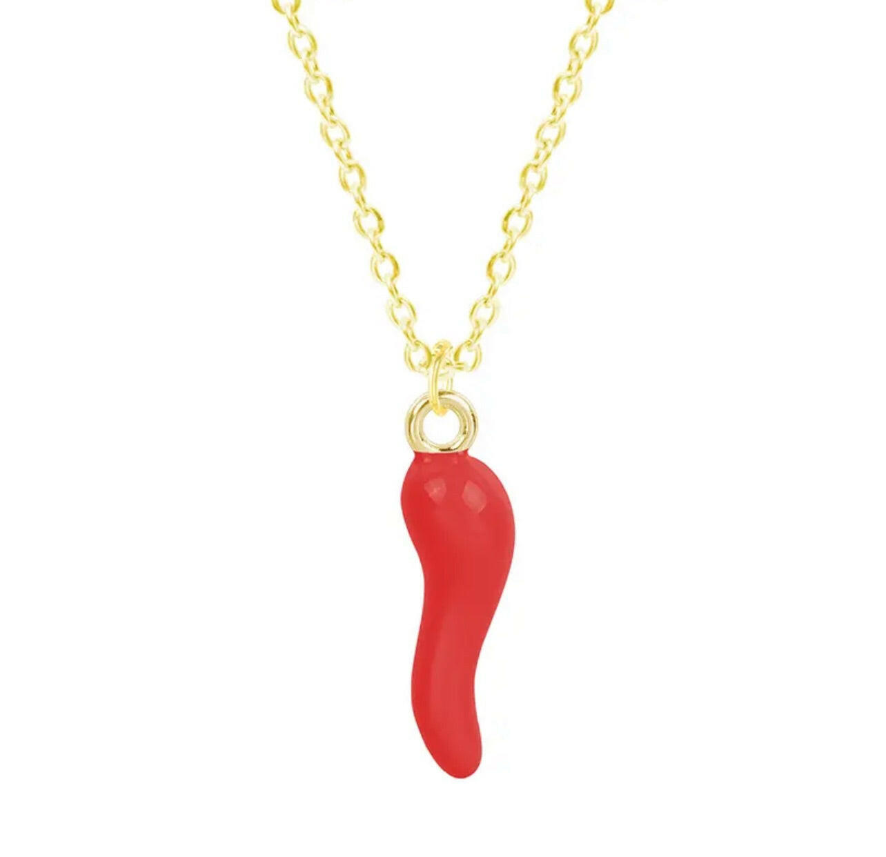 Cornicello Italian Necklace in Stainless Steel.