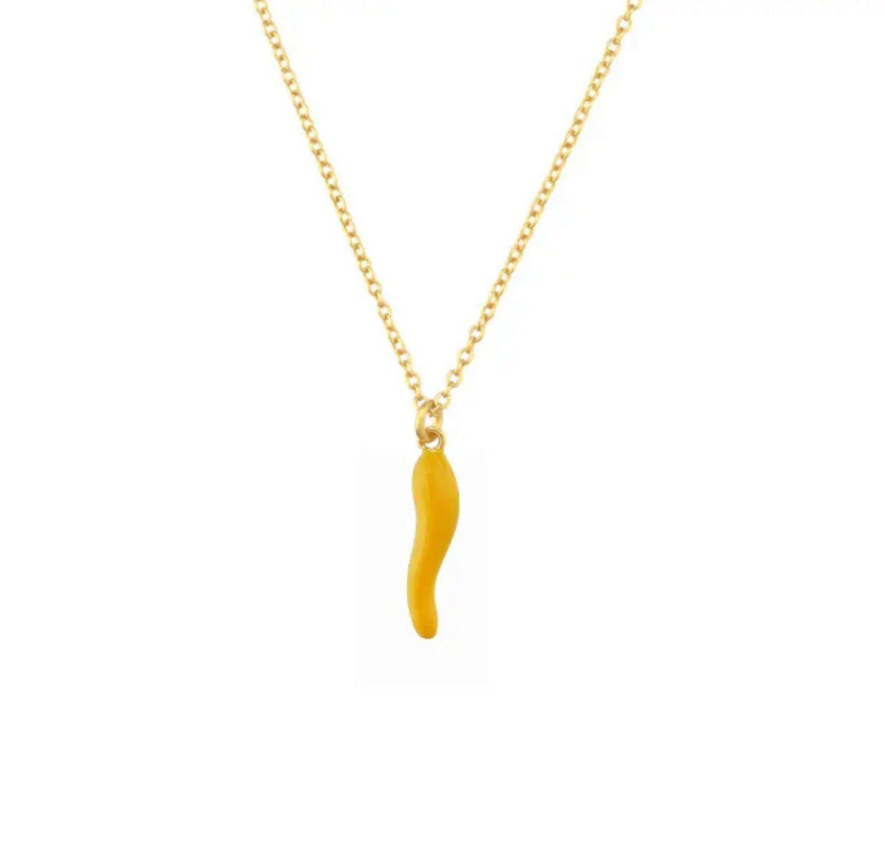 Cornicello Italian Necklace in Stainless Steel.
