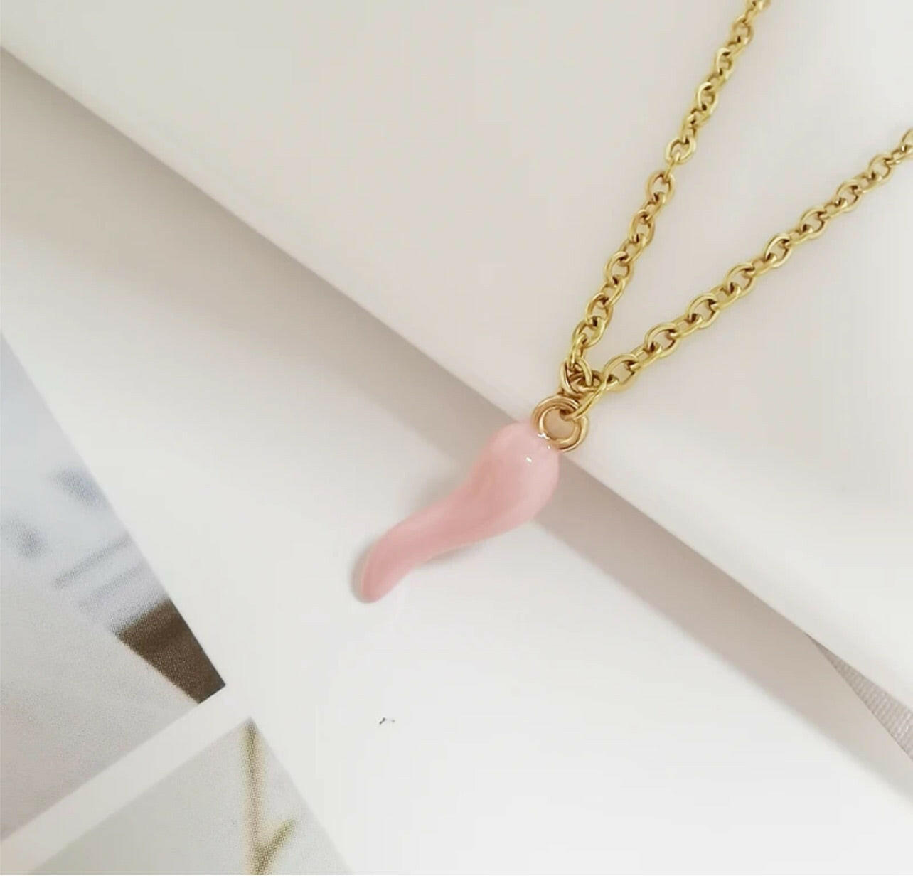Cornicello Italian Necklace in Stainless Steel.