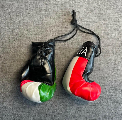Italy 4” Boxing Gloves (2 boxing gloves) 🥊.