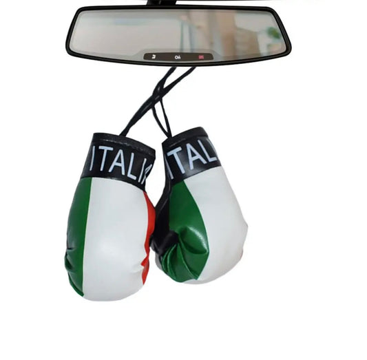 Guanti da boxe Italia 4” (2 guantoni da boxe)